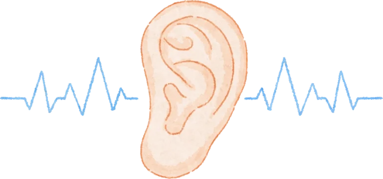 Ear