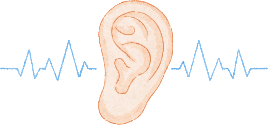 Ear