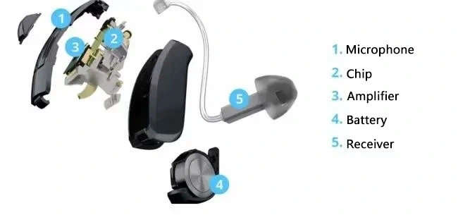 Diagram of hearing aid construction (behind-the-ear model)