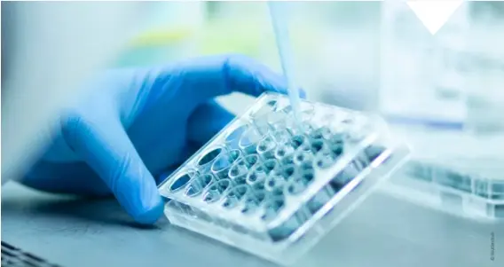 Research and development