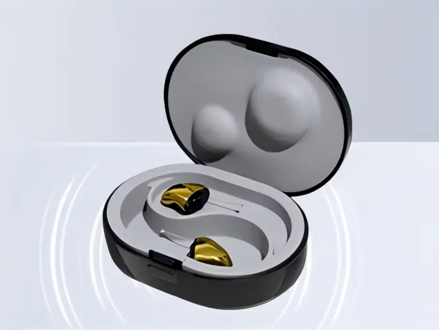 Customized hearing aid maintenance