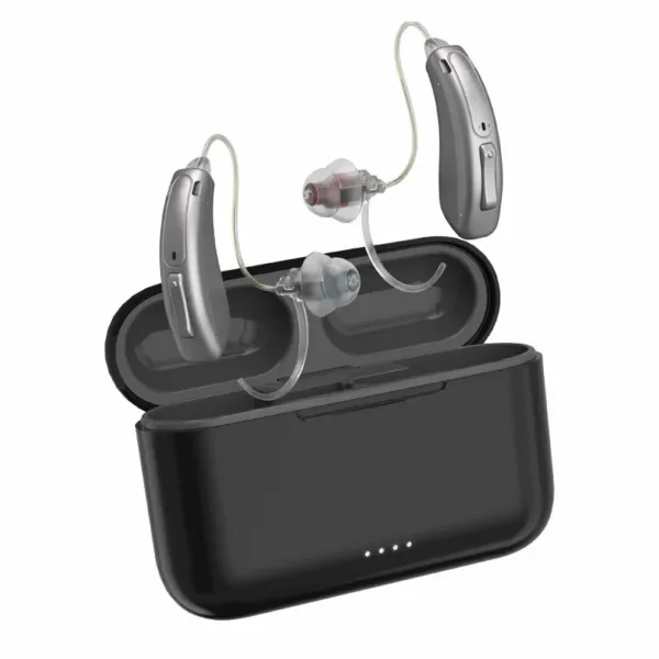 Hearing aid 5216B