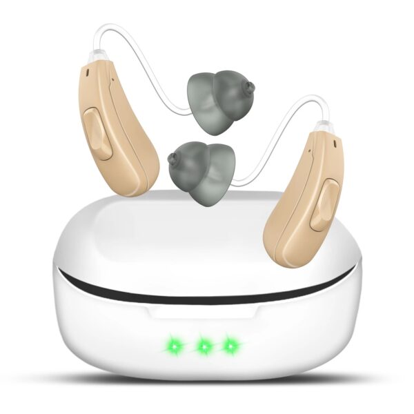 LH11 hearing aid