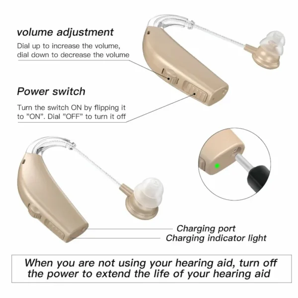 The structure of the GM-301 hearing aid